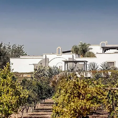 Torre Guaceto Luxury Masseria With Salted Pool Villa Serranova